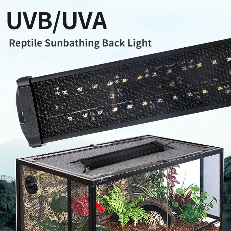 Gady UVA + UVB pełnozakresowa  – Calcium Powder Reptile recenzja i cena