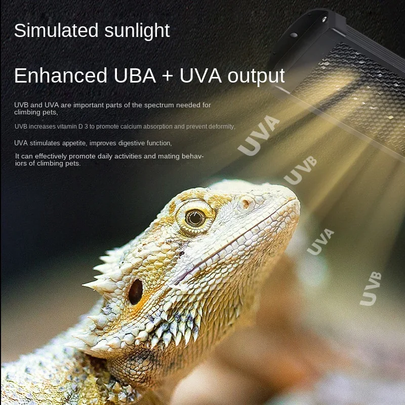 Gady UVA + UVB pełnozakresowa  – Calcium Powder Reptile recenzja i cena