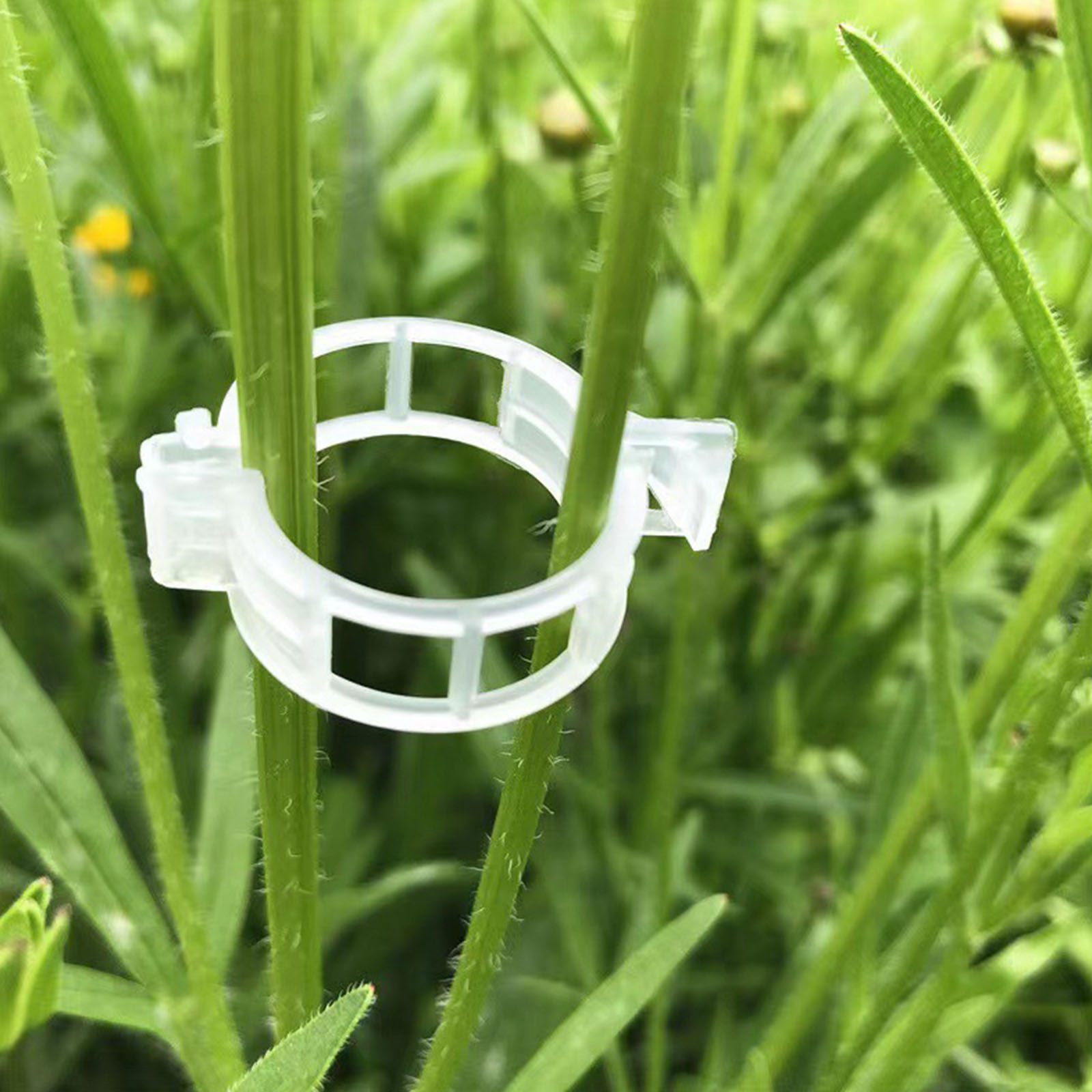 Zabezpieczające plastikowe kli – Vine Climbing Plastic recenzja i cena